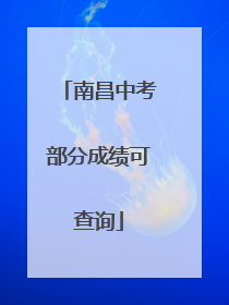 南昌中考部分成绩可查询