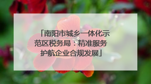 南阳市城乡一体化示范区税务局：精准服务护航企业合规发展