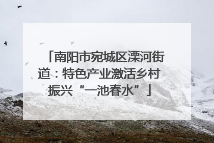 南阳市宛城区溧河街道：特色产业激活乡村振兴“一池春水”