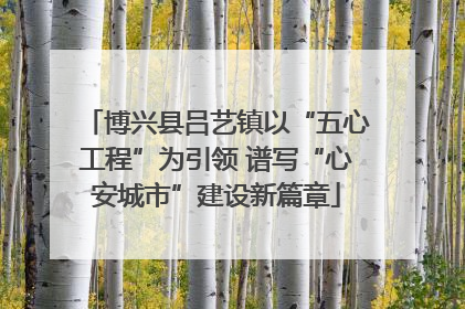 博兴县吕艺镇以“五心工程”为引领 谱写“心安城市”建设新篇章