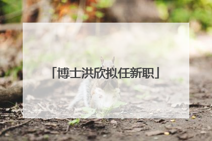 博士洪欣拟任新职
