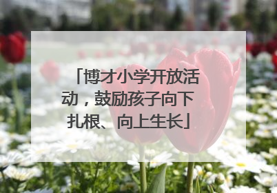博才小学开放活动，鼓励孩子向下扎根、向上生长