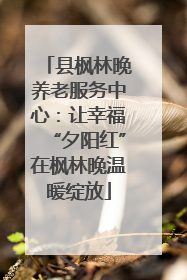 县枫林晚养老服务中心：让幸福“夕阳红”在枫林晚温暖绽放