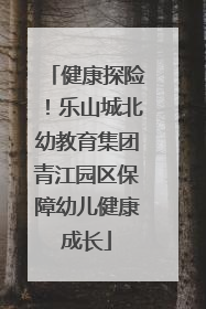 健康探险！乐山城北幼教育集团青江园区保障幼儿健康成长