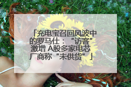 充电宝召回风波中的罗马仕：“访客”激增 A股多家电芯厂商称“未供货”