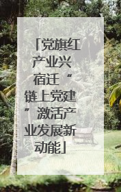 党旗红 产业兴 宿迁“链上党建”激活产业发展新动能