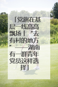 党旗在基层一线高高飘扬丨“去有村的地方”——湖南有一群青年党员这样选择