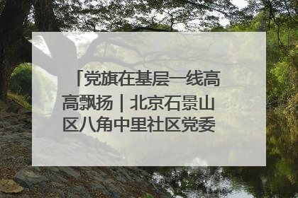 党旗在基层一线高高飘扬｜北京石景山区八角中里社区党委：用脚步丈量民生