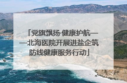 党旗飘扬·健康护航——北海医院开展进盐企筑防线健康服务行动