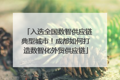 入选全国数智供应链典型城市！成都如何打造数智化外贸供应链