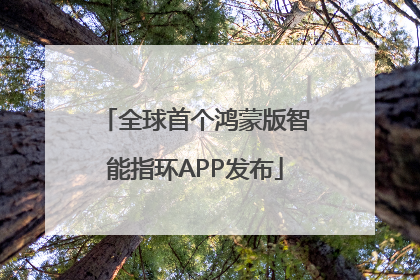 全球首个鸿蒙版智能指环APP发布