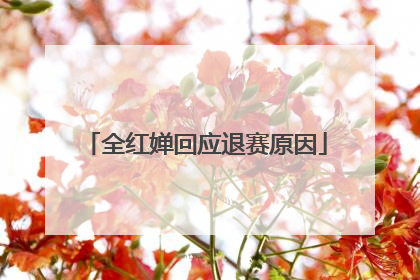 全红婵回应退赛原因