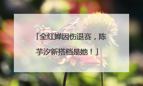 全红婵因伤退赛，陈芋汐新搭档是她！