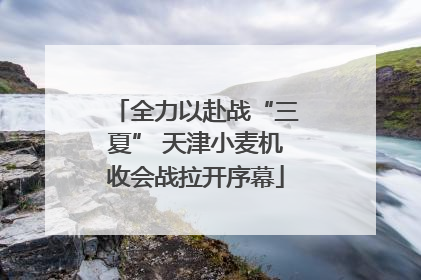 全力以赴战“三夏” 天津小麦机收会战拉开序幕