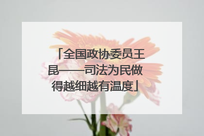 全国政协委员王昆——司法为民做得越细越有温度