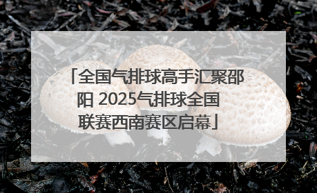 全国气排球高手汇聚邵阳 2025气排球全国联赛西南赛区启幕