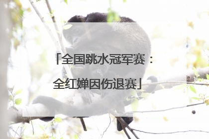 全国跳水冠军赛：全红婵因伤退赛