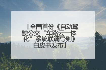 全国首份《自动驾驶公交“车路云一体化”系统联调导则》白皮书发布