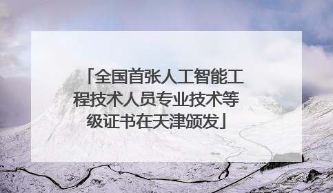 全国首张人工智能工程技术人员专业技术等级证书在天津颁发