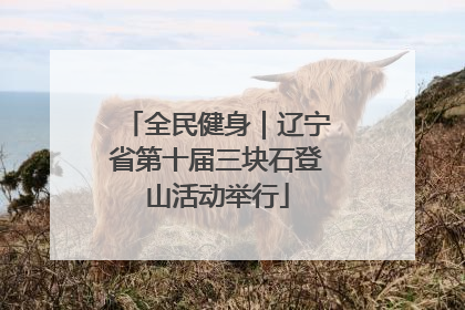 全民健身｜辽宁省第十届三块石登山活动举行