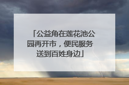 公益角在莲花池公园再开市，便民服务送到百姓身边