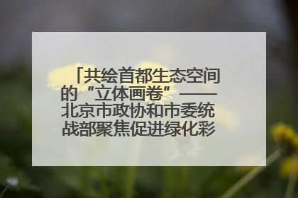 共绘首都生态空间的“立体画卷”——北京市政协和市委统战部聚焦促进绿化彩化美化生态空间建设联合协商议政