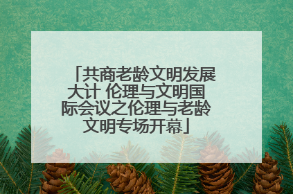 共商老龄文明发展大计 伦理与文明国际会议之伦理与老龄文明专场开幕