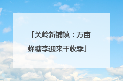 关岭新铺镇：万亩蜂糖李迎来丰收季