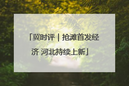 冀时评｜抢滩首发经济 河北持续上新