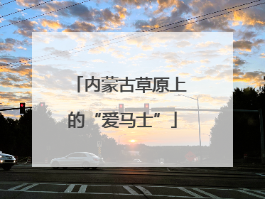 内蒙古草原上的“爱马士”