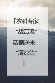 农科专家“战高温” 菇棚送来“清凉策”
