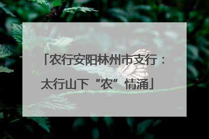 农行安阳林州市支行：太行山下“农”情涌