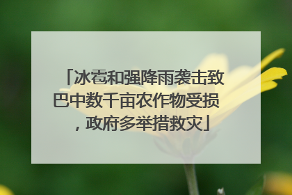 冰雹和强降雨袭击致巴中数千亩农作物受损，政府多举措救灾