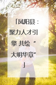凤阳县：聚力人才引擎 共绘“大明华章”