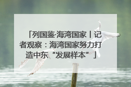 列国鉴·海湾国家丨记者观察：海湾国家努力打造中东“发展样本”