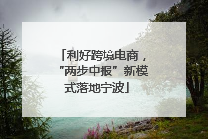 利好跨境电商，“两步申报”新模式落地宁波