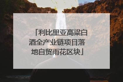 利比里亚高粱白酒全产业链项目落地自贸雨花区块