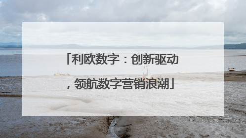 利欧数字：创新驱动，领航数字营销浪潮