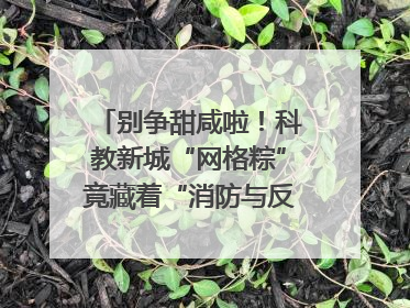 别争甜咸啦！科教新城“网格粽”竟藏着“消防与反诈秘籍”
