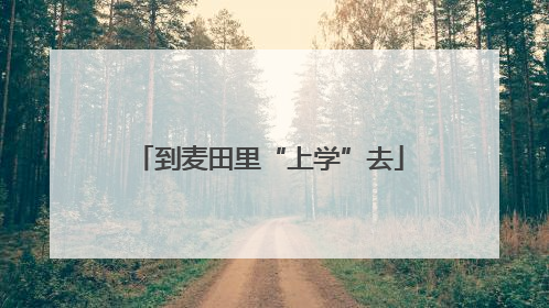 到麦田里“上学”去