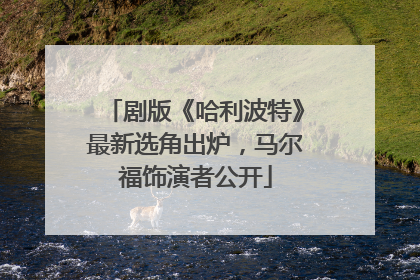 剧版《哈利波特》最新选角出炉，马尔福饰演者公开