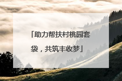 助力帮扶村桃园套袋，共筑丰收梦