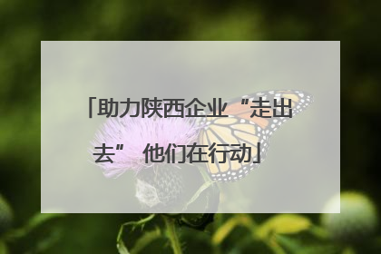 助力陕西企业“走出去” 他们在行动