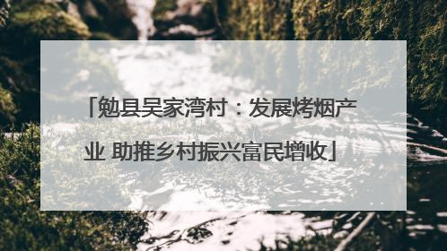 勉县吴家湾村：发展烤烟产业 助推乡村振兴富民增收