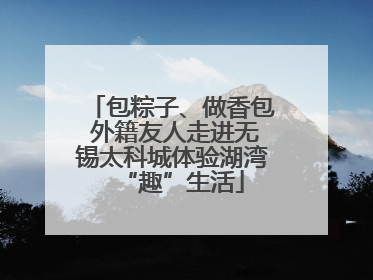 包粽子、做香包 外籍友人走进无锡太科城体验湖湾“趣”生活