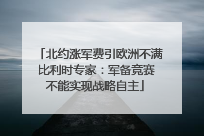 北约涨军费引欧洲不满 比利时专家：军备竞赛不能实现战略自主
