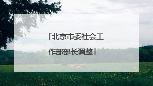 北京市委社会工作部部长调整