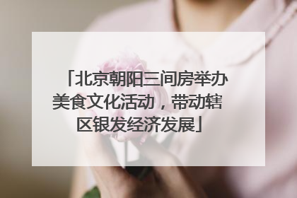 北京朝阳三间房举办美食文化活动，带动辖区银发经济发展