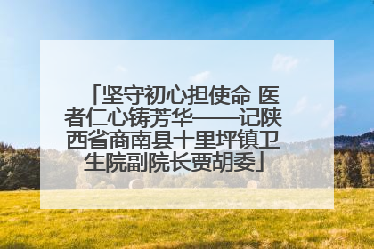 坚守初心担使命 医者仁心铸芳华——记陕西省商南县十里坪镇卫生院副院长贾胡委