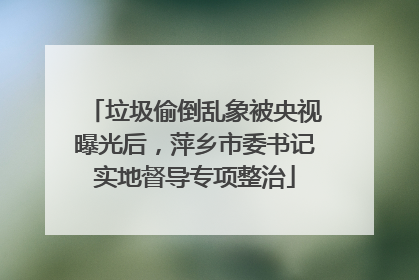垃圾偷倒乱象被央视曝光后，萍乡市委书记实地督导专项整治